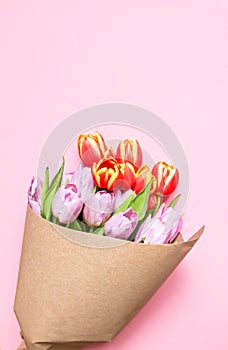 Bouquet of spring tulip flowers wrapped in craft paper bag on soft pink background