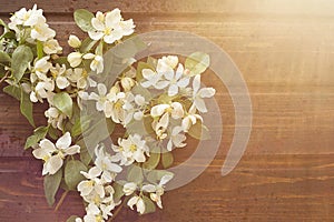 Bouquet of spring white jasmine in raindrops on a wooden background