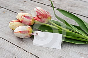 Bouquet of striped tulips in red, yellow and white and card with copy space