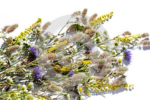 A bouquet of summer flowers and herbs on a white background in bright light. Isolated summer bouquet. Flat lay