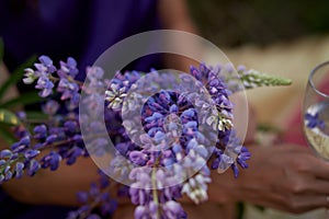 Bouquet of summer lupins. Connecting with nature, well being, life balance concept