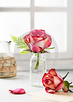 Bouquet of summer red roses in glass vase near the window. Floral still life in vintage style.