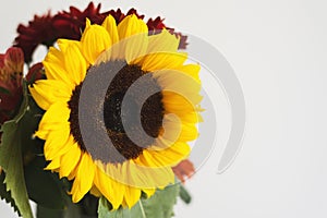 Bouquet with sunflower, white wall as background