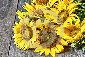 A bouquet of sunflowers as a sign of the end of summer