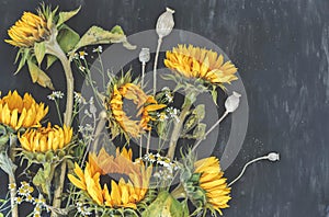 Bouquet sunflowers with camilla and poppies boxes on dark background. Autumn harvest. Fading flowers herbarium.