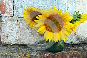 A bouquet of sunflowers in a glass jar on the windowsill. rural still life. copy space