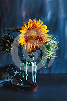 Bouquet of Sunflowers in Mason Jar and Apron