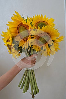 Bouquet of sunflowers in a vase