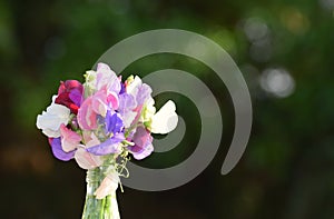 A bouquet of Sweet Pea Flowers in a glass bottle