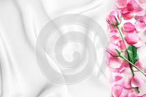 a bouquet sweet pink roses petal on soft white silk fabric ,
