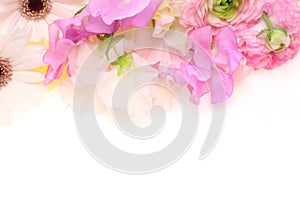 Bouquet of sweetpea ,persian buttercup and transvaal daisy