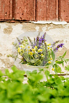 Bouquet of tea flowers. Chamomile, lemon balm and mint. Healthy diet. morning in the village. wooden background