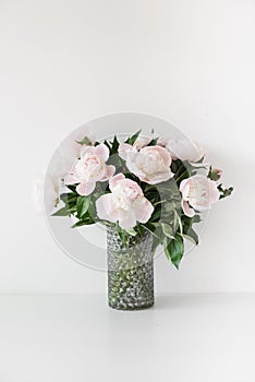 Bouquet of tender pink peonies in vase near white wall