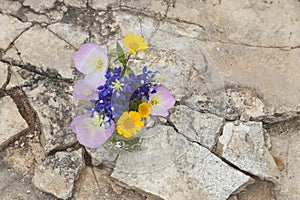 Bouquet of Texas wildflowers in a jar on stone ground