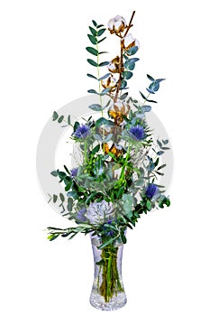 Bouquet with thistle flowers and cotton in a vase