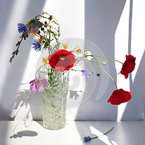 Bouquet of three red poppy flowers and different wildflowers in crystal vase with water on white table with contrast sun light and
