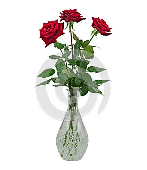 Bouquet of Three Red Roses in A Glass Vase. Isolated On White Background