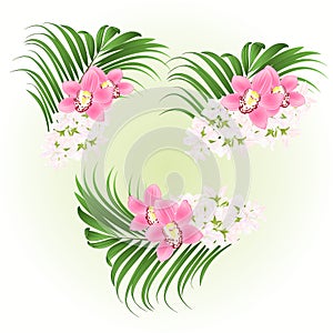 Bouquet with tropical flowers floral arrangement, with beautiful pink orchids cymbidium and palm vintage vector illustration edi