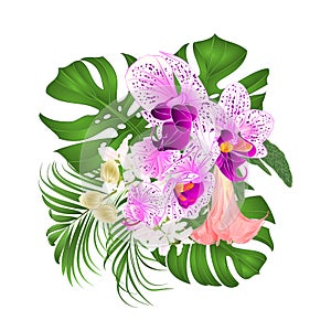 Bouquet with tropical flowers floral arrangement, with beautiful purple and white orchid, palm,philodendron and Brugmansia vinta photo