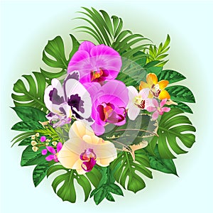 Bouquet with tropical flowers orchids phalaenopsis yellow ,white,purple, cymbidium palm,philodendron,ficus nature