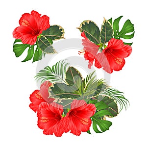 Bouquet with tropical flowers set floral arrangement with beautiful red hibiscus palm,philodendron and ficus vintage vector illus