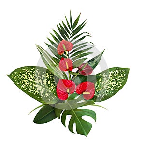 Bouquet of tropical leaves Monstera, Dieffenbachia, branch palm, Ficus benjamina and red flowers Anthurium tailflower, flamingo