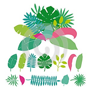 Bouquet of tropical leaves palms, trees. Vector illustration