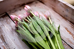 Bouquet of tulip