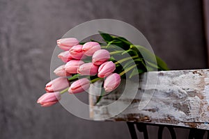 Bouquet of tulip