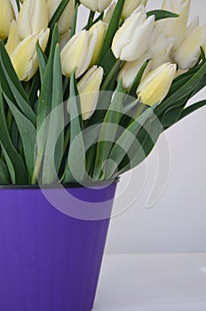 Bouquet with Tulip Snow Lady classic triumph white