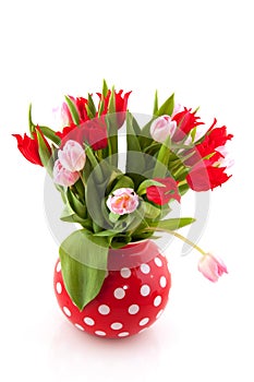 Bouquet tulips