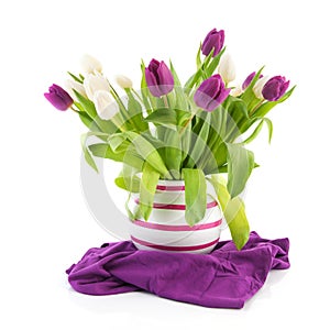 Bouquet tulips