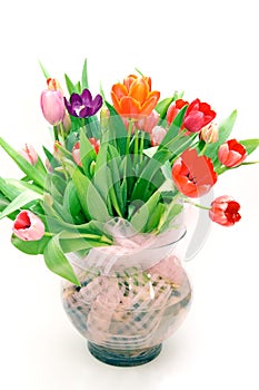 Bouquet of tulips