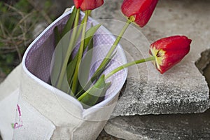 Bouquet of tulips