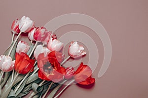 Bouquet of tulips. Beautiful flowers on a pink background