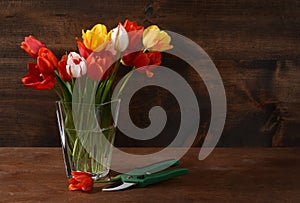 Bouquet of tulips with clippers