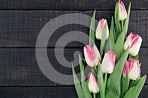 Bouquet of Tulips on dark rustic wooden background with copy spa