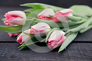 Bouquet of Tulips on dark rustic wooden background. Spring flowe