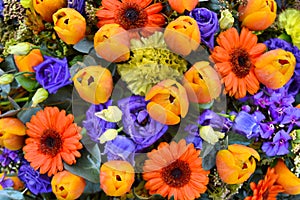 Bouquet of tulips and gerbera flowers
