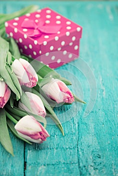 Bouquet of Tulips and gift box on turquoise rustic wooden background with copy space for message. Spring flowers. Greeting card f