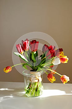 Bouquet of tulips in a glass vase on a beige background in sunlight. Coffee decanter detail as stylish decor element