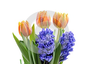 Bouquet of tulips and hyacinths