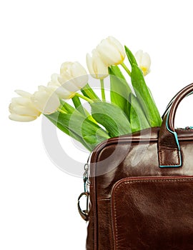 Bouquet of tulips in the leather briefcase