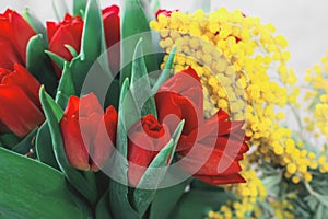 bouquet of tulips with mimosa. Spring bouquet with mimosa flowers and red tulips - spring concept, spring natural
