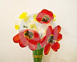 Bouquet of tulips and narciss