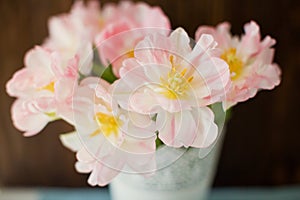 Bouquet of tulips with pink and white petals in white metal vase.