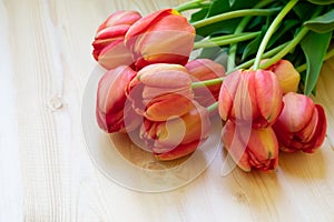 Bouquet of tulips at right corner on white wooden background. Top view, frame, border, copy space. Greeting card for womans da