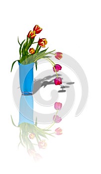 Bouquet of tulips in a vase 6