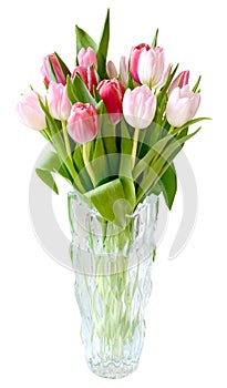 Bouquet tulips vase isolated