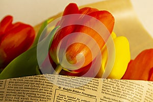 Bouquet of tulips on a white background in paper.copyspace for text